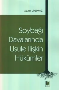 Soybağı Davalarında Usule İlişkin Hükümler
