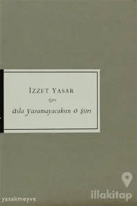 Asla Yazamayacaksın O Şiiri