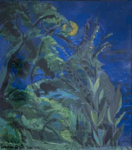 Bahçemde Gece