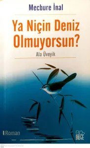 Ya Niçin Deniz Olmuyorsun?