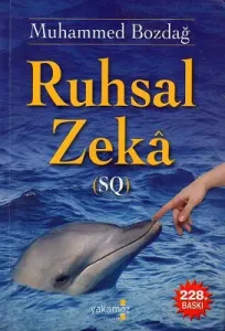 Ruhsal Zeka SQ