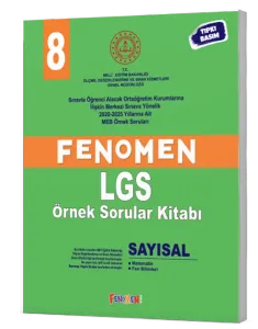 Fenomen 8 MEB Sayısal Örnek Sorular