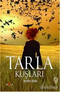 Tarla Kuşları