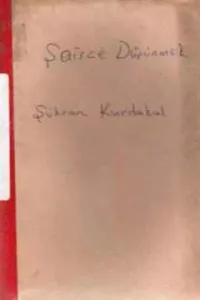 Şairce Düşünmek