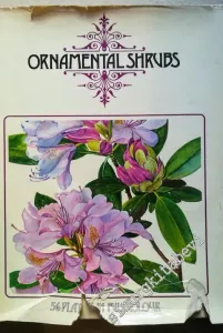 Ornamental Shrubs: 56 Plants in Full Colur -