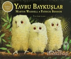 Yavru Baykuşlar