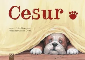 Cesur; Cesur Dizisi