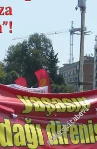 Nikel İçin Doğadan Vazgeçme ! Mesele Gerçekten Üç - Beş Ağaç Değil ! -