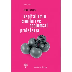 KAPİTALİZMİN SINIRLARI VE TOPLUMSAL PROLETARYA