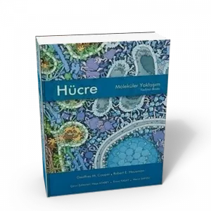Hücre Moleküler Yaklaşım ( Karton Kapak )