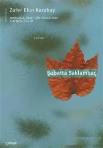 Şubatta Saklambaç