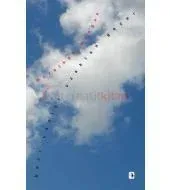Bazı Yazlar Uzaktan Geçer