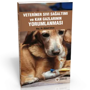 Veteriner Sıvı Sağaltımı ve Kan Gazlarının Yorumlanması