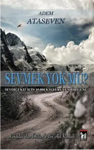 Sevmek Yok mu