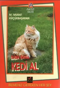 Baba Bana Kedi Al; Baba Bana Kedi Al Bilmeniz Gereken Herşey