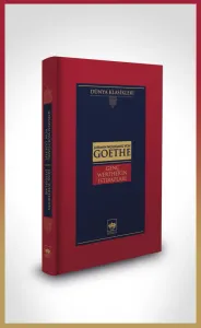 Genç Werther'in Istırapları