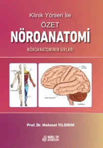 Klinik Yönleri ile Özet Nöroanatomi