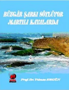 Rüzgar Şarkı Söylüyor Rüzgarlı Kıyılarda
