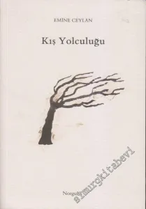 Kış Yolculuğu -         2007