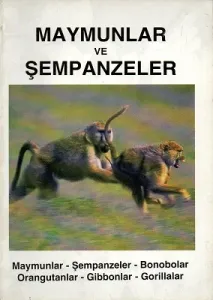 Maymunlar ve Şempazeler