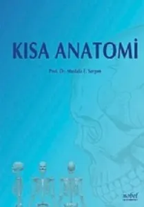 Kısa Anatomi