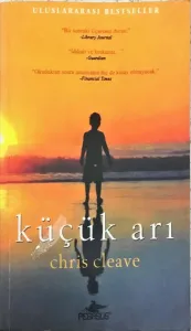 Küçük Arı