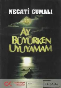 Ay Büyürken Uyuyamam