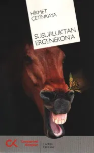 Susurluk'tan Ergenekon'a