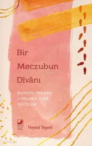 Bir Meczubun Divanı;Hayata, İnsana ve İnanca Dair Öğütler