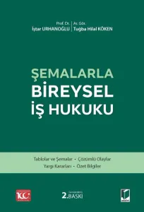 Şemalarla Bireysel İş Hukuku