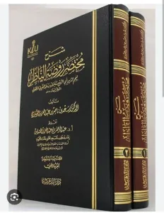 Şerhu Muhtasarı Ravzatul Nazır 2 Cilt