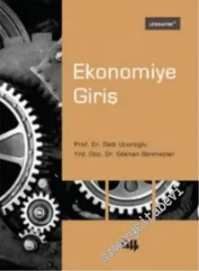 Ekonomiye Giriş -         2017