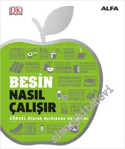 Besin Nasıl Çalışır - Görsel Olarak Açıklanan Gerçekler -         2020