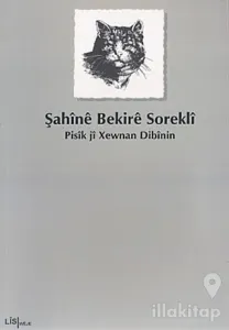 Pisik ji Xewnan Dibinin