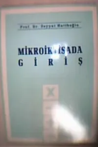 Mikroiktisada Giriş