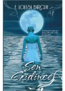 Sen Gidince