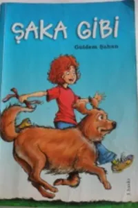 Şaka Gibi