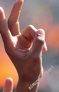 Siyasi Aklın Sürçtüğü Yer Kürt Sorunu -