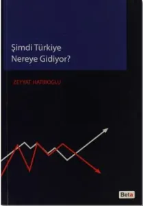 Şimdi Türkiye Nereye Gidiyor