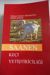 Saanen Keçi Yetiştiriciliği