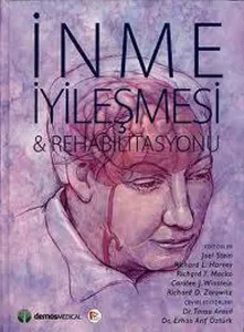 İnme İyileşmesi ve Rehabilitasyonu