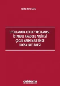 Uygulamada Çocuk Yargılaması: İstanbul Anadolu Adliyesi Çocuk Mahkemelerinde Dosya İncelemesi