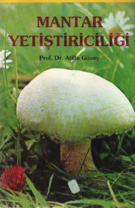 Mantar Yetiştiriciliği