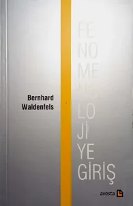 Fenomenolojiye Giriş