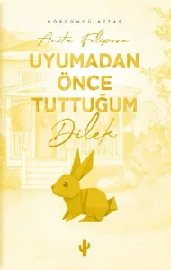 Uyumadan Önce Tuttuğum Dilek 4