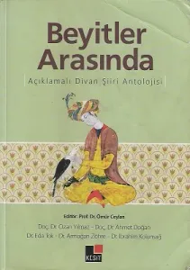 Beyitler Arasında Açıklamalı Divan Şiiri Antolojisi
