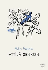 Aykırı Üçgenler