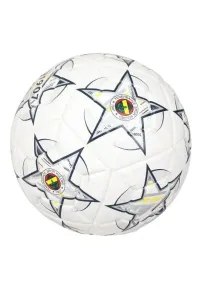 Fenerbahçe Futbol Topu Match No 5 18