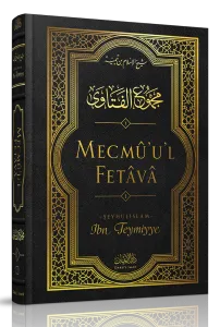 Mecmûu'l-Fetâvâ (25. Cilt)