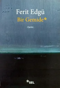 Bir Gemide